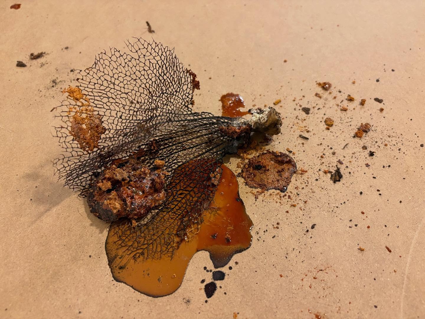 Mixed media detail by Sarah Hughes, 2026