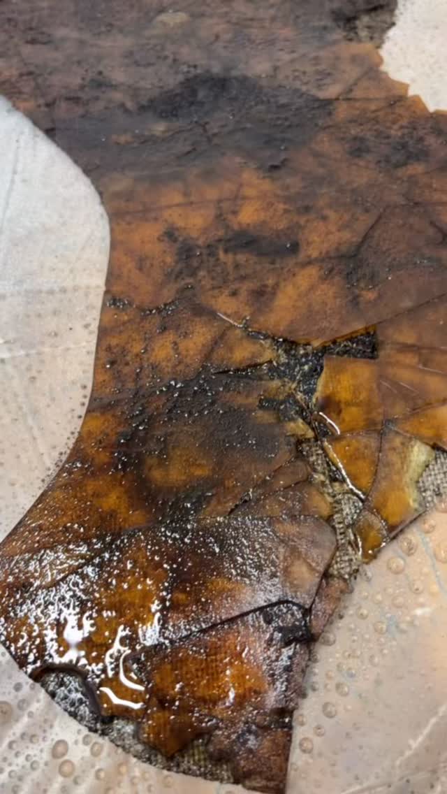 Material detail by Sarah Hughes, 2026