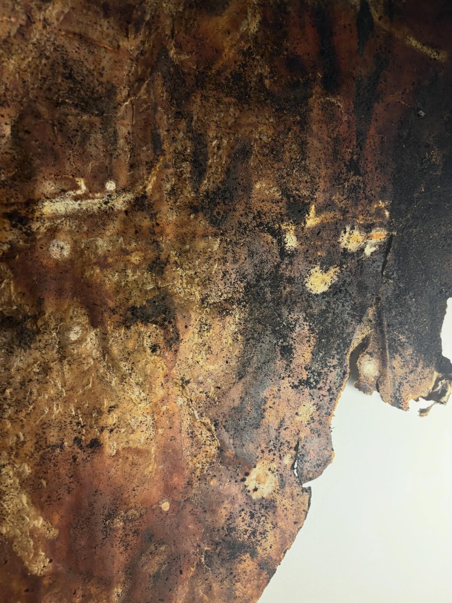 Material detail by Sarah Hughes, 2026